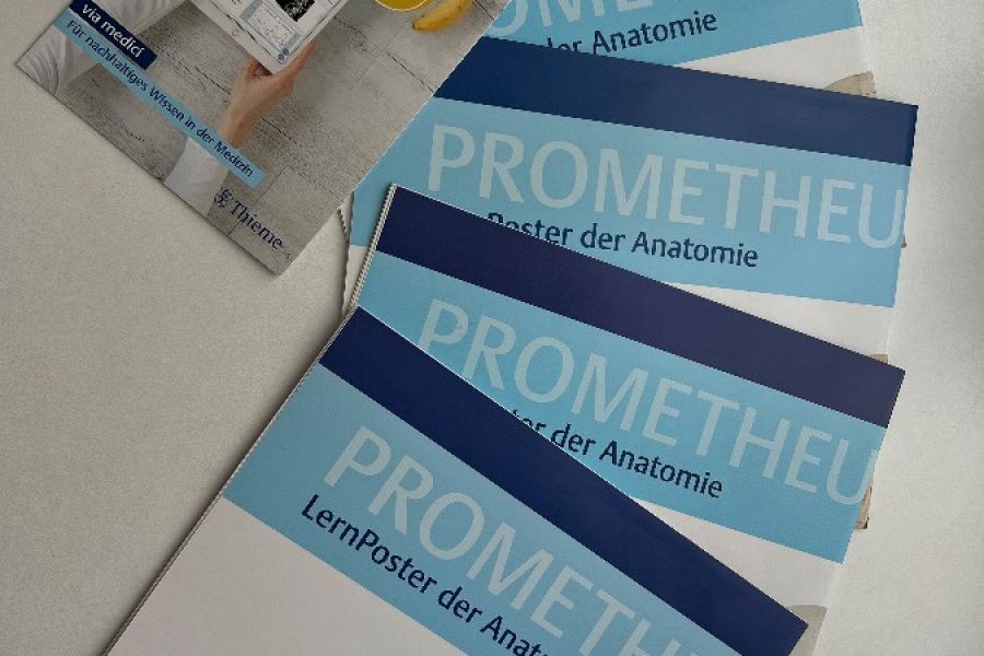 Prometheus Lernpaket Lernatlas der Anatomie (inkl. Lernpostern) - Bild 5