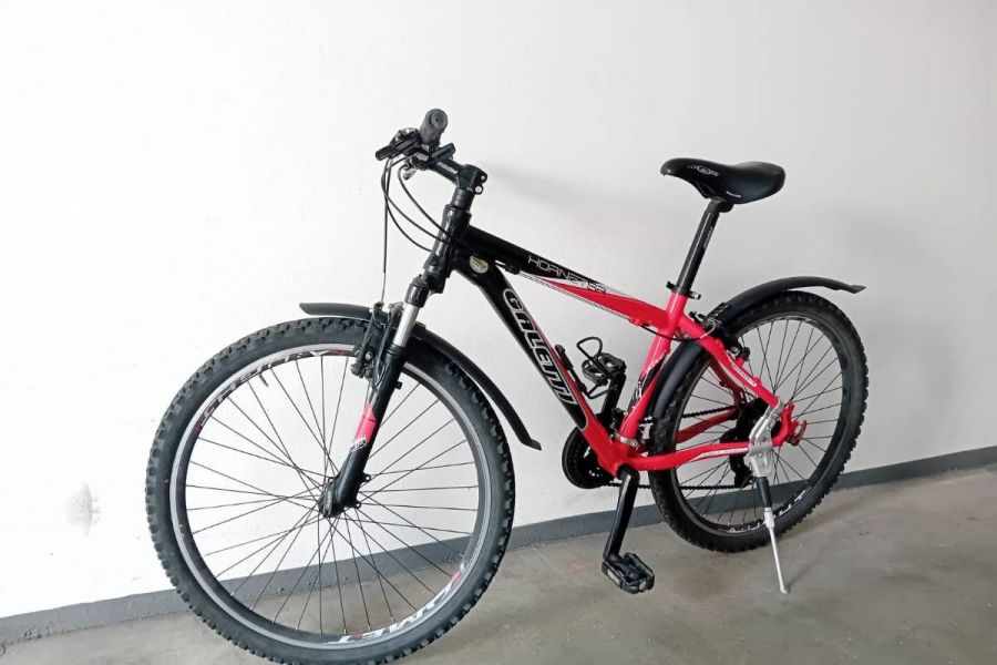 Mountainbike GALETTI für Kinder bis 16 Jahre - Bild 1