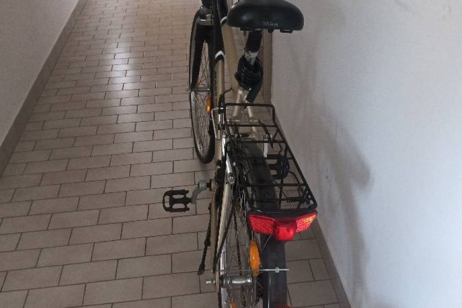 Damen Fahrrad extra leicht - Bild 4