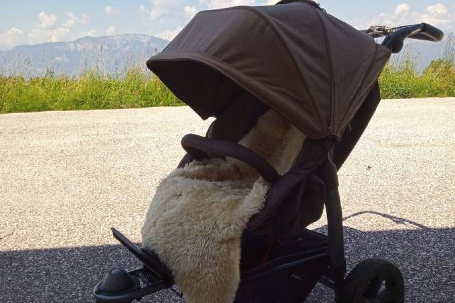 fk Kinder-Sportwagen Neuwertig - Bild 2