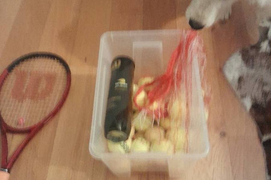 Schöne Tennisschläger mit Bällen - Bild 2