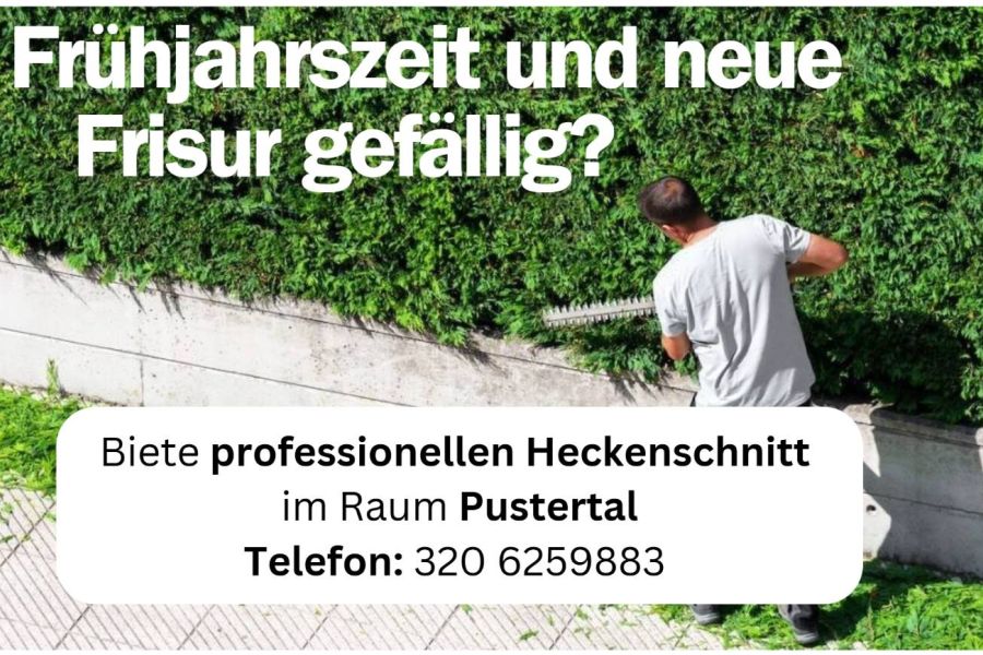 Biete Heckenschnitt / Zypressenschnitt im Raum Pustertal - Bild 1