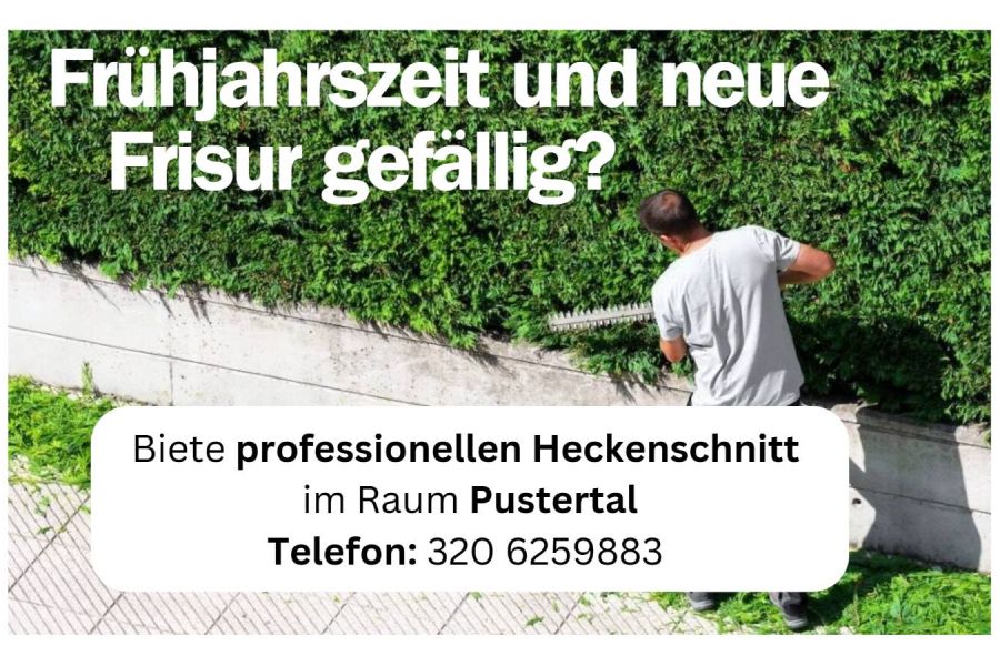 Biete Heckenschnitt / Zypressenschnitt im Raum Pustertal - Bild 1