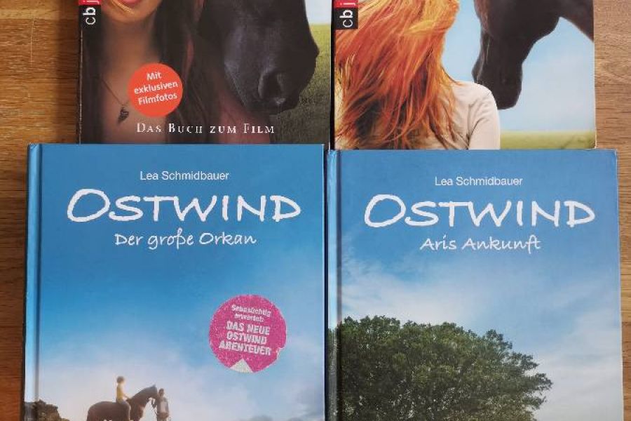 Ostwind Bücher zum Film! 4 Stück - Bild 1