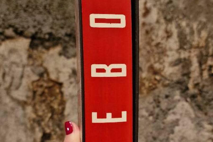 Verkaufe das Buch "Erebos" - Bild 3