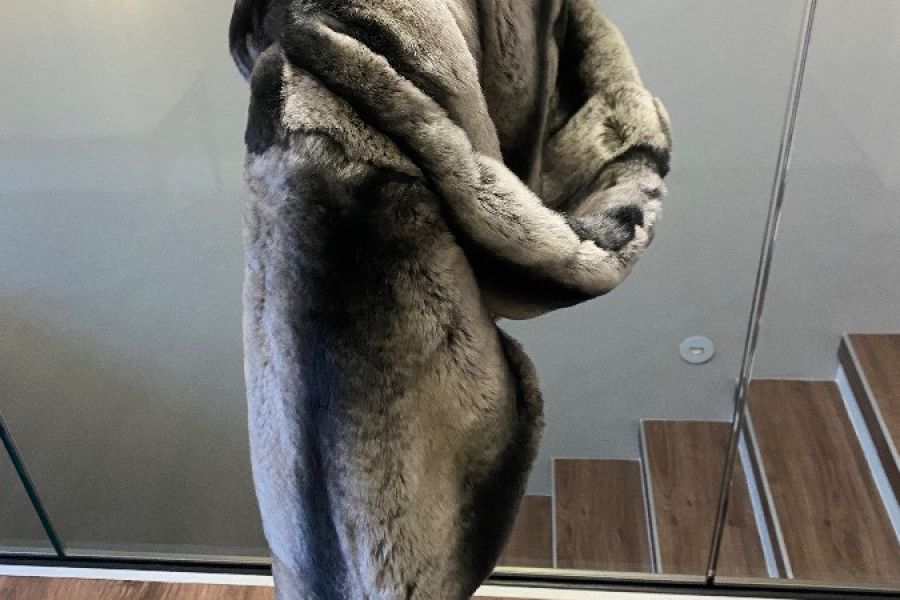 Chinchila Jacke - Bild 2