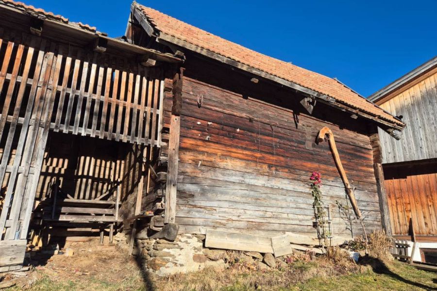 Altholz und alte Getreidemühle - Bild 3