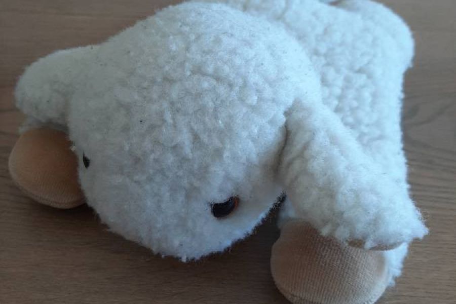 Kirschkern-Kuscheltiere - Bild 2