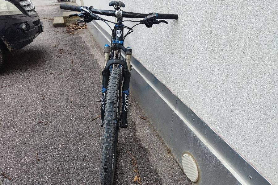 Racefully zu verkaufen - Bild 3