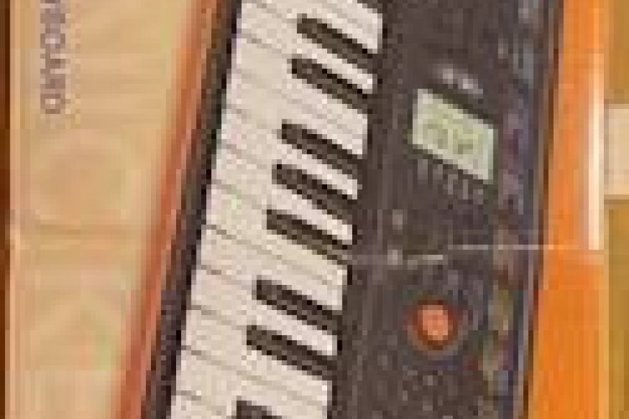 Casio Electronic Keyboard - Bild 1