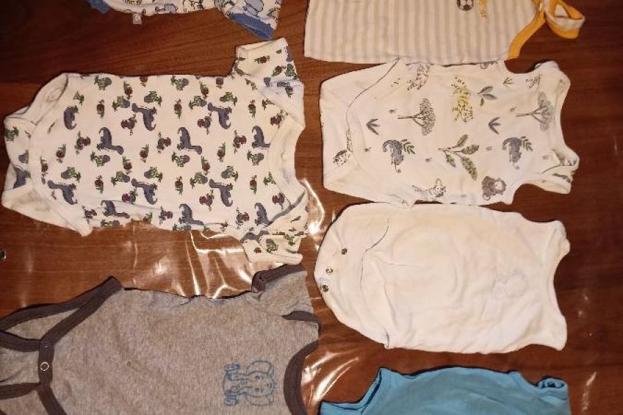 7 bodys gr 68/74 alle zusammen 10€, einzeln je 2€ - Bild 1