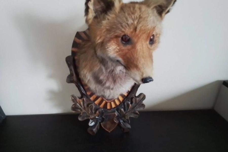 Trophäenbrett mit Fuchs - Bild 1