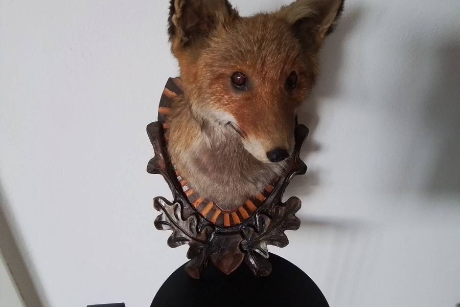 Trophäenbrett mit Fuchs - Bild 2