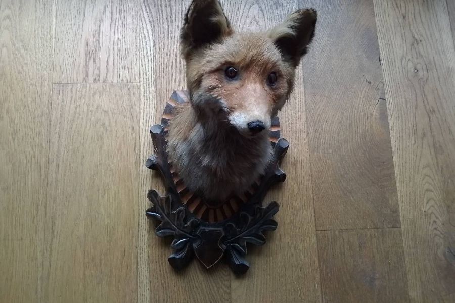 Trophäenbrett mit Fuchs - Bild 3