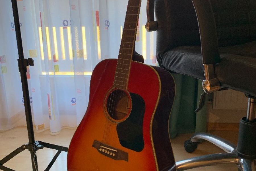 Walden Gitarre - Bild 1