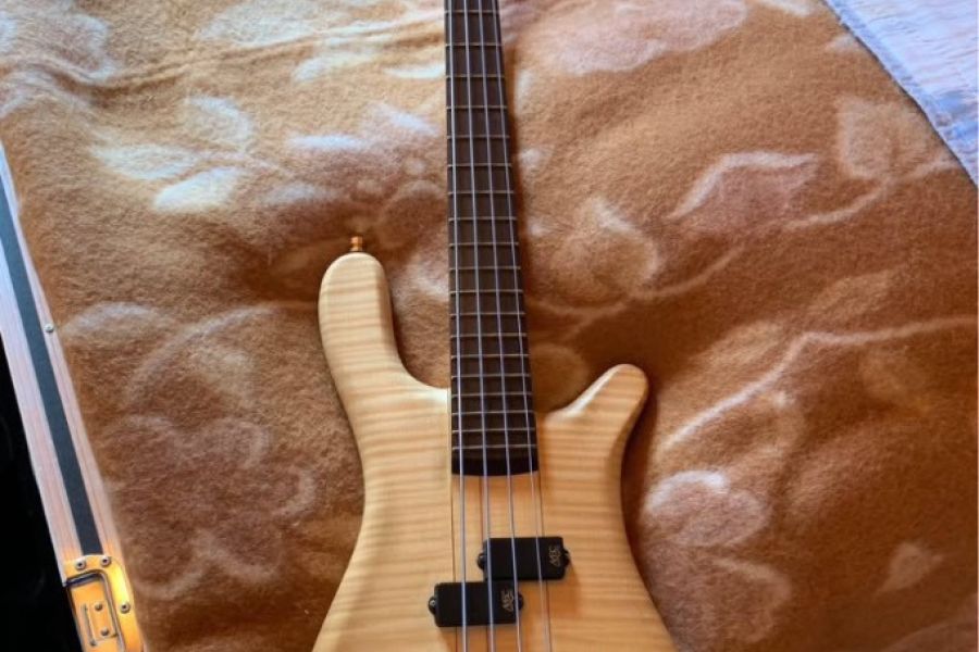 E Bass mit Koffer - Bild 1