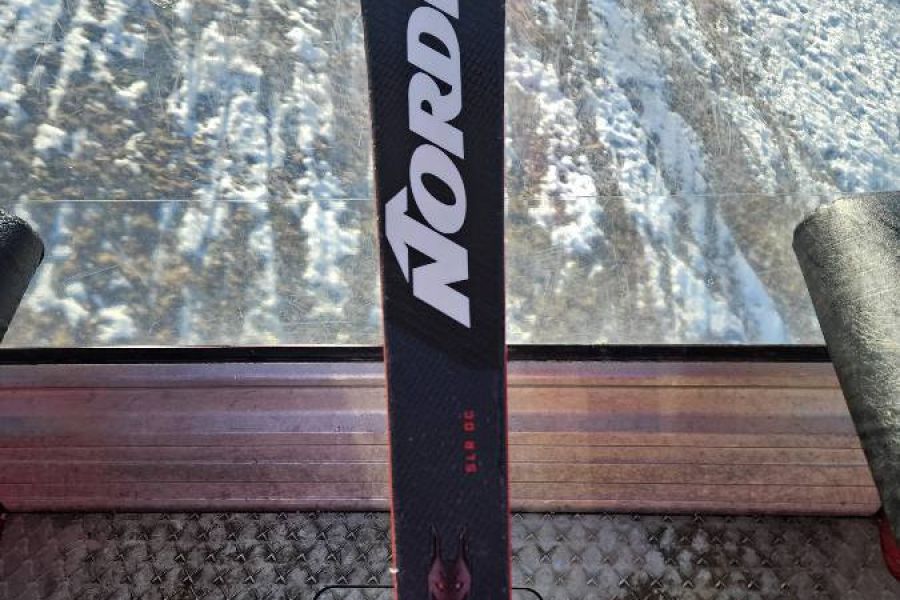 Slalomski Nordica 1,65cm - Bild 1