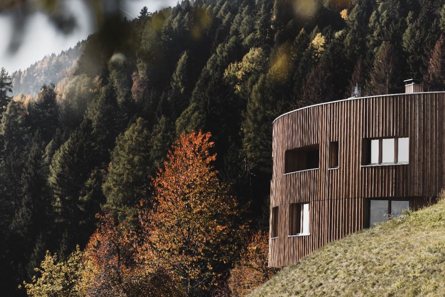 Praktikum o. Sommerjob | Briol | zwischen April und Oktober - Bild 1