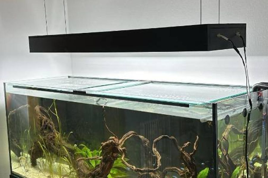 Aquarium 450 l - Bild 1