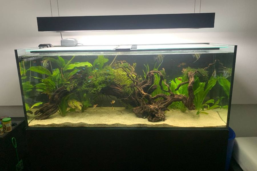 Aquarium 450 l - Bild 2