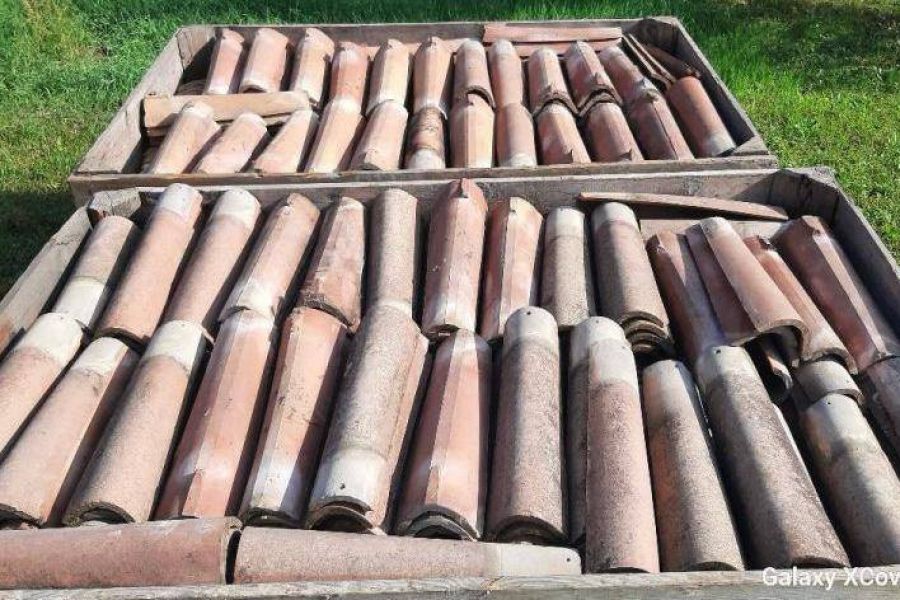 Mönch und Nonne Ziegen günstig abzugeben - Bild 1