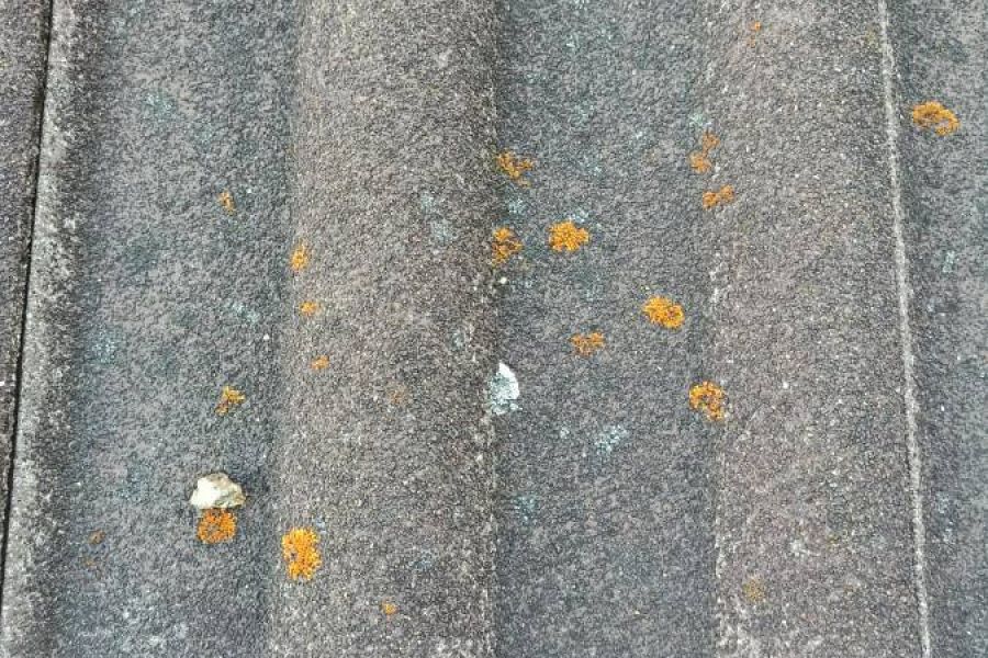 Dachziegel inkl. Firstziegel - Bild 1