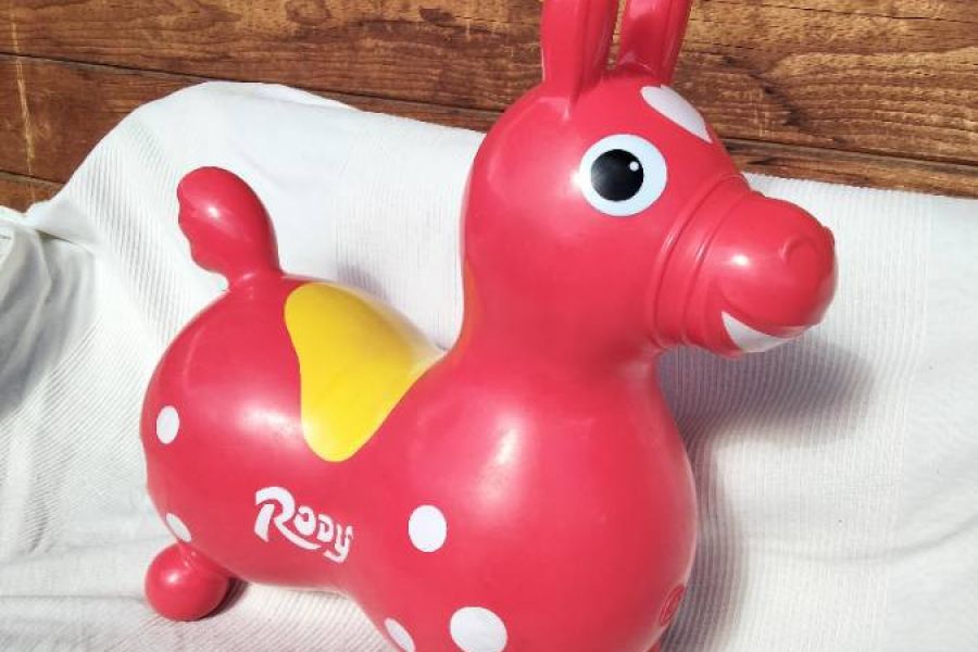 Hüpfpferd Rody - Bild 1