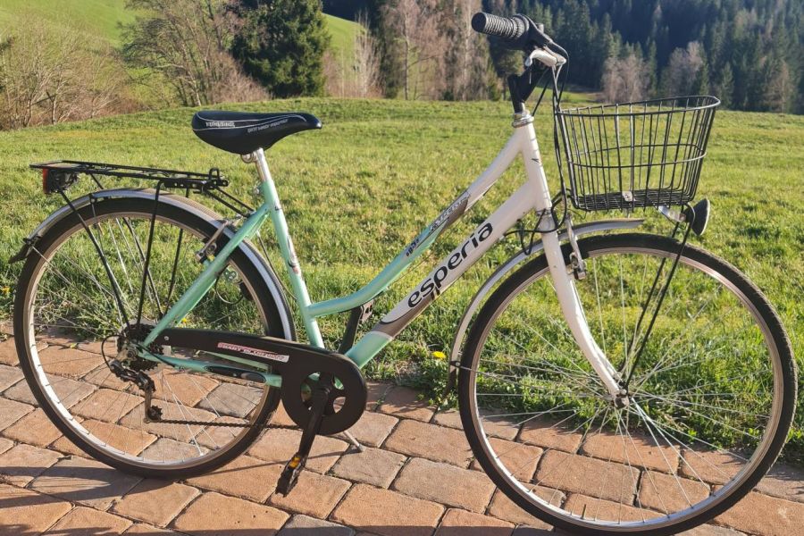 Stadtfahrrad Damen - Bild 1