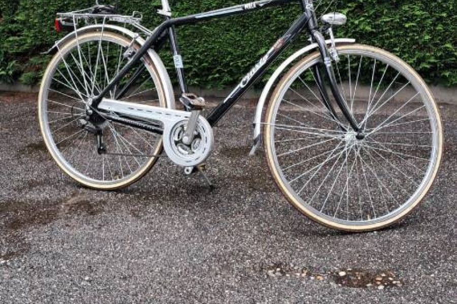 Herrenfahrrad - Marke Cinzia - Bild 4