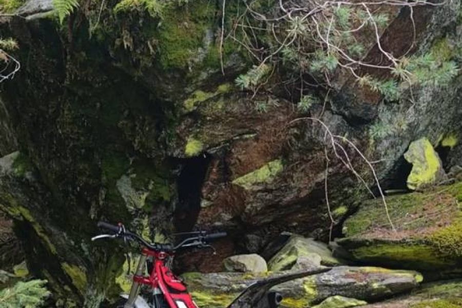 GasGas TxT 300 - Bild 2