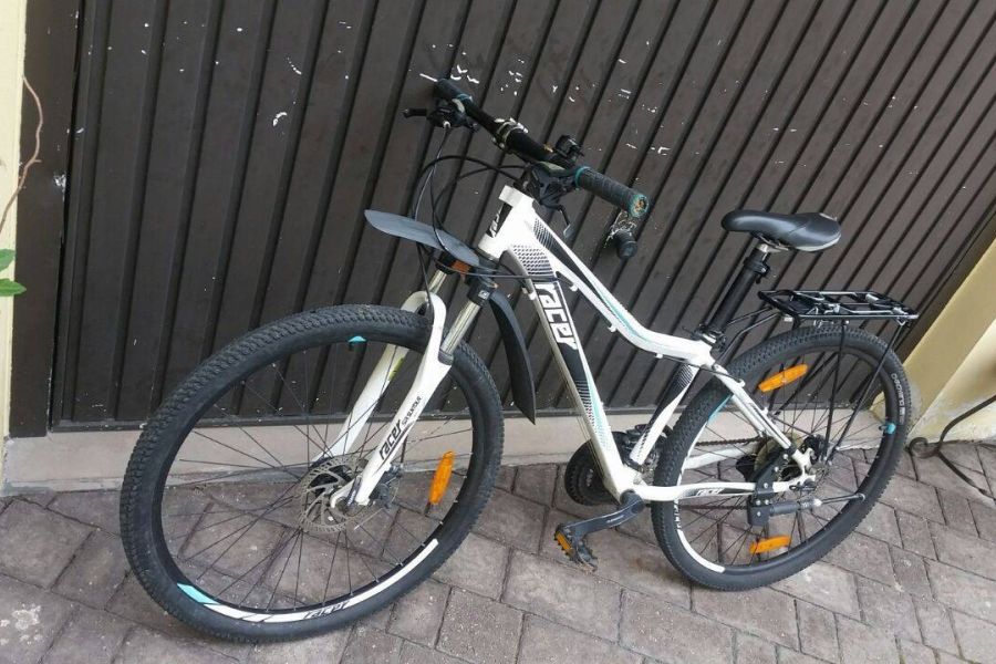Mountainbike MTB Eagle Racer 26" - Bild 2