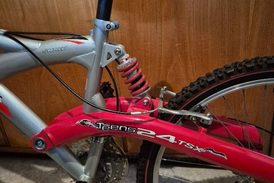 neues Mountainbike für Kinder - Bild 1