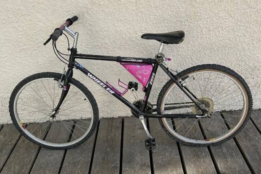 Mädchenfahrrad zu verschenken - Bild 1