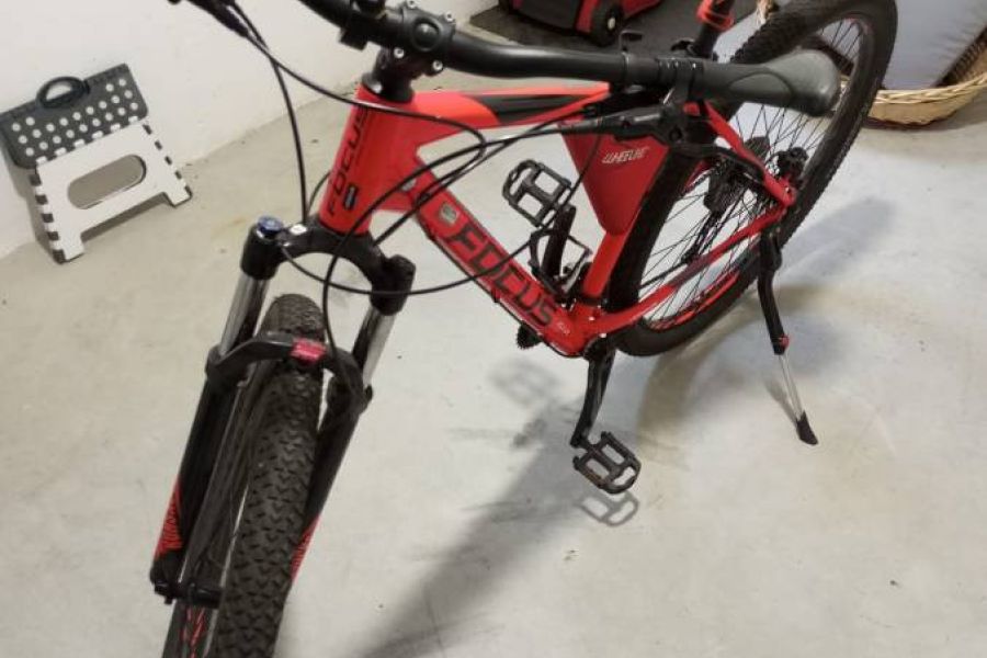 Herren Mountainbike Focus 29" Größe L - Bild 1