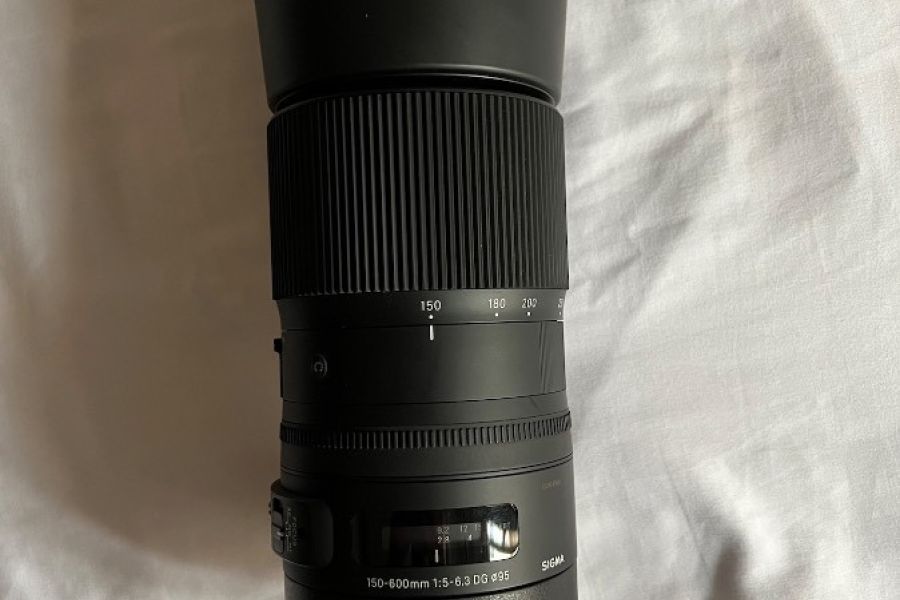 Objektiv Sigma 150-600mm C für Canon + 1.4 Sigma Telekonverter - Bild 2