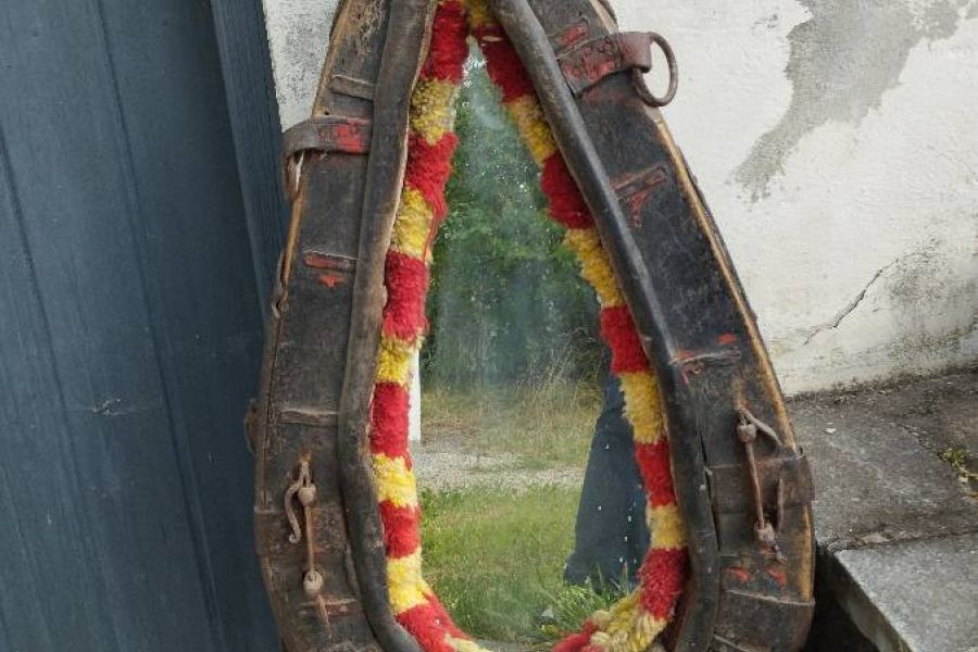 Pferdekummat mit Spiegel - Bild 3