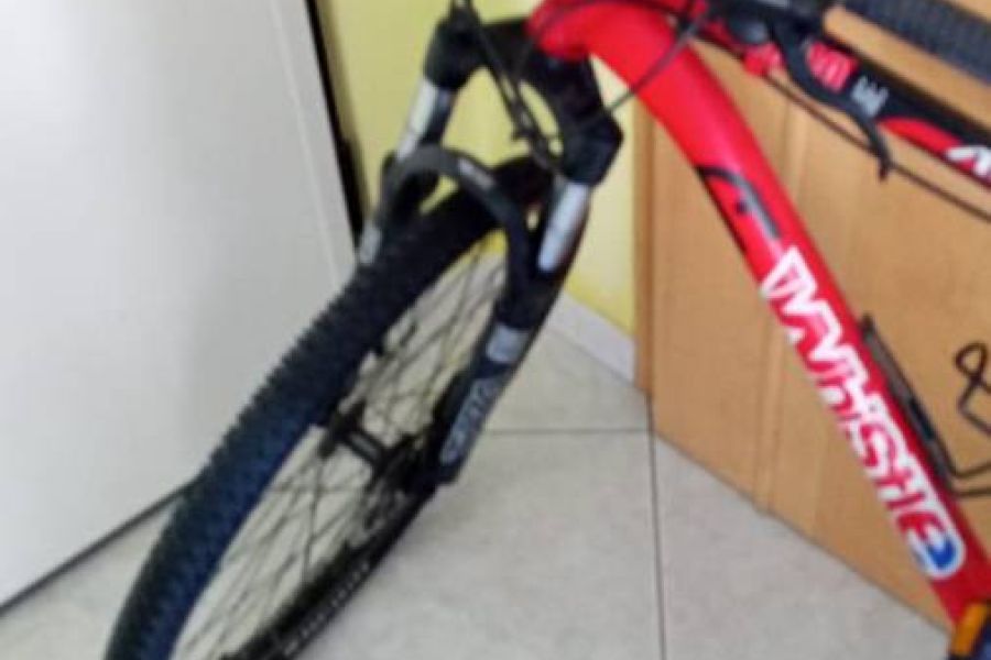 Mountain bike - Bild 2