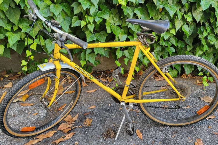 MTB 26zoll - Bild 1