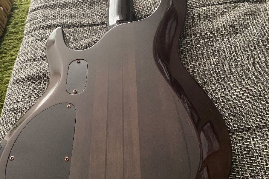 E Bass ESP/Ltd 254 B - Bild 2