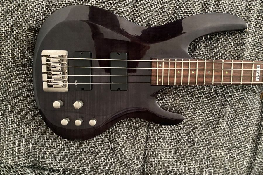 E Bass ESP/Ltd 254 B - Bild 5