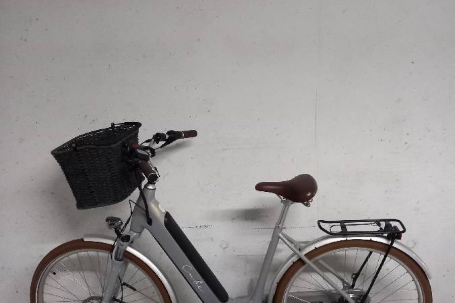 Elektrofahrrad - Bild 1