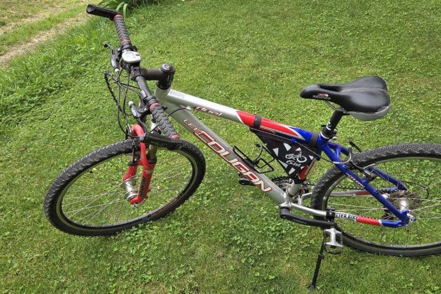 Damen-Moutainbike - Bild 1