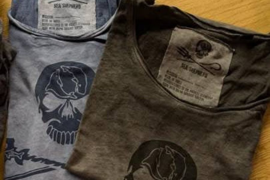 Sea Shepherd - Bild 2