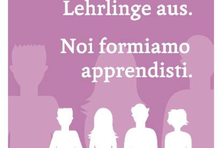 Lehrling für Elektrotechnik gesucht! - Bild 2