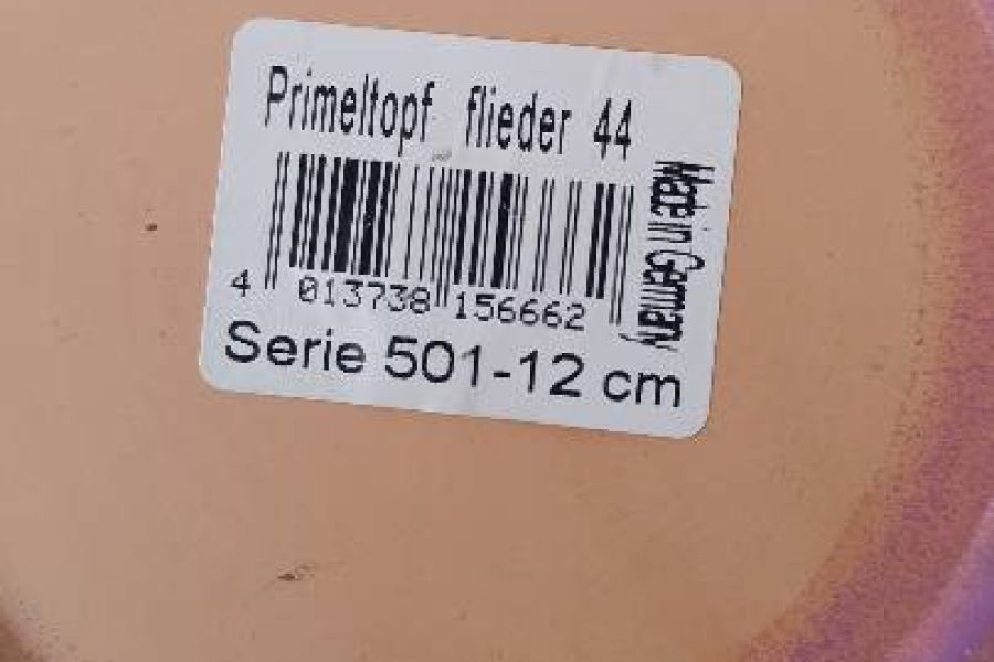 4 verschiebe Blumentöpfe - Bild 4
