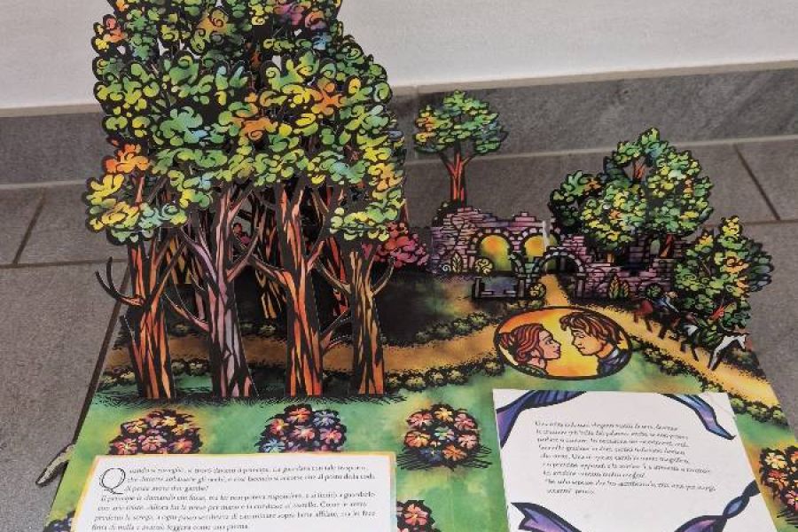 Kinder Bücher - Bild 4