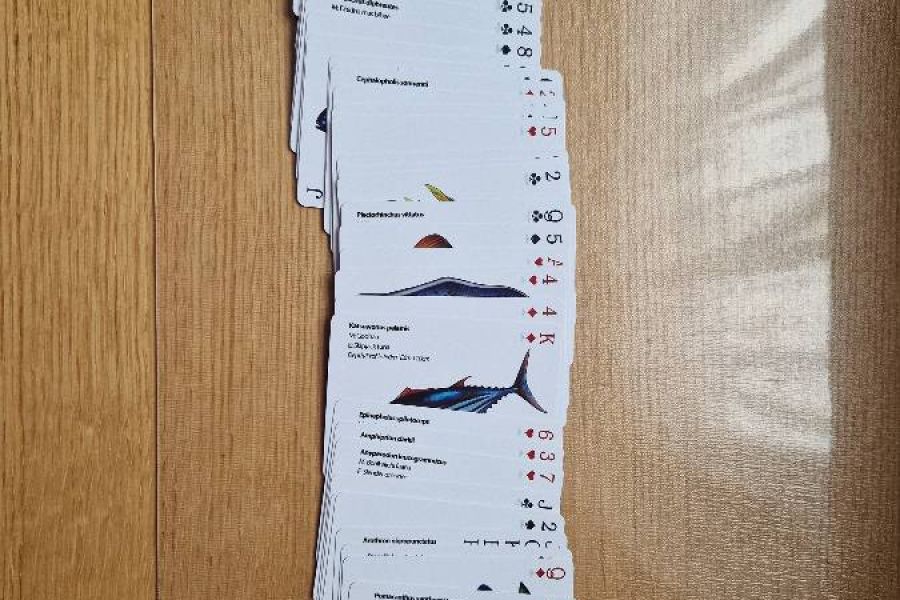 Verschiedenes - Bild 2