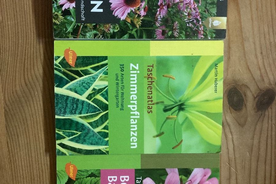 Schulbücher (Laimburg) - Bild 1
