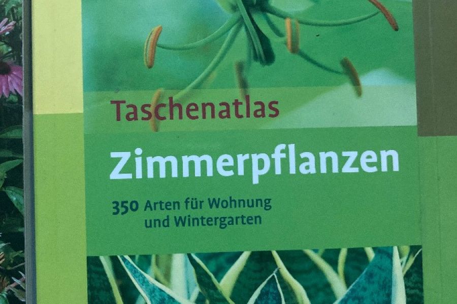 Schulbücher (Laimburg) - Bild 3
