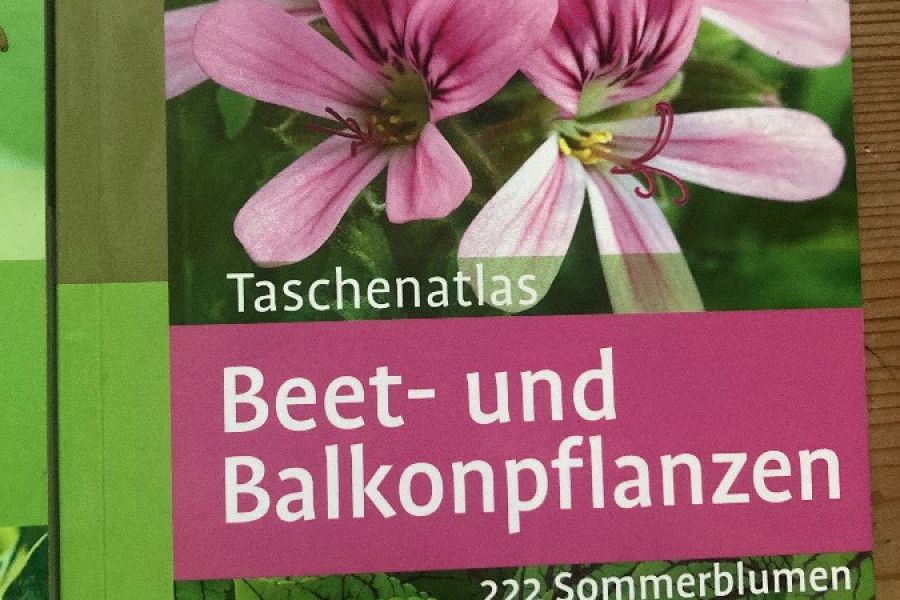 Schulbücher (Laimburg) - Bild 4
